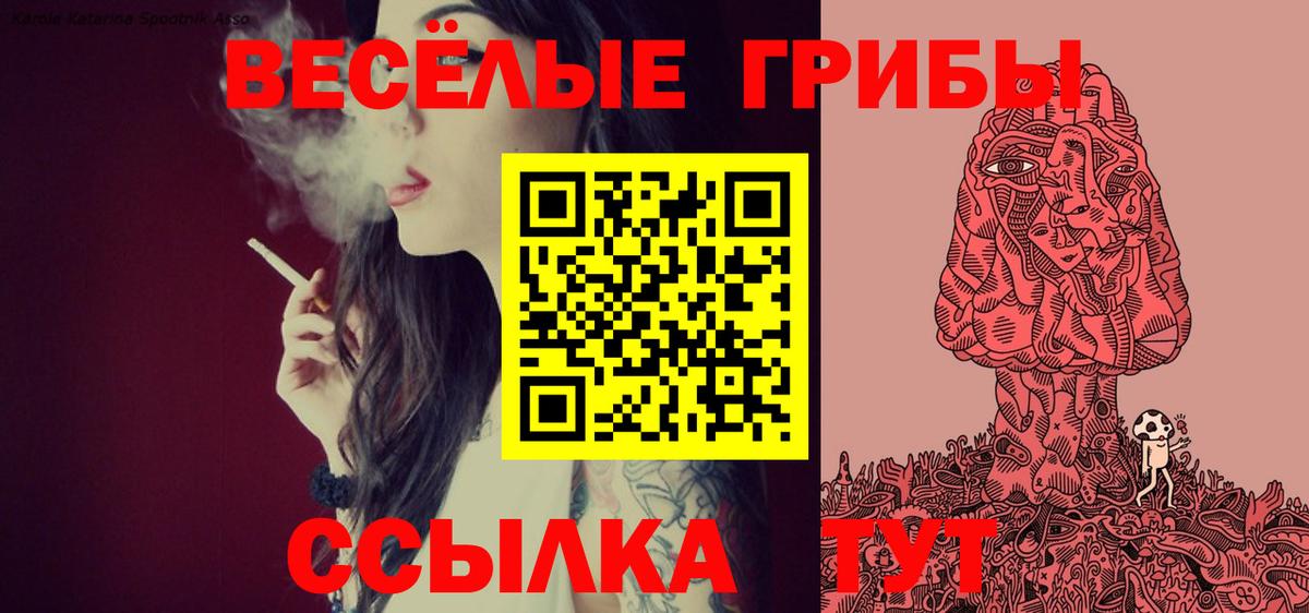 Жуковский  Псилоцибиновые грибы Psilocybe  Вход с VPN  Псилоцибиновые грибы мухоморы 